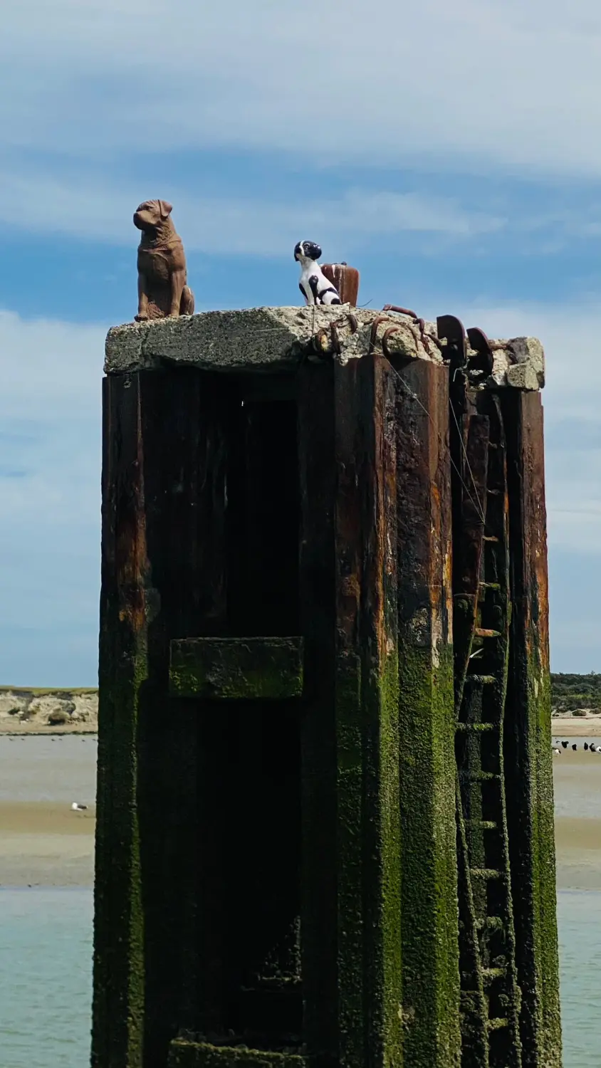  Successful Sailing - Seeposten mit Hundestatuen